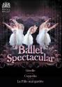 Ballet Spectacular Box Set (The Royal Ballet)